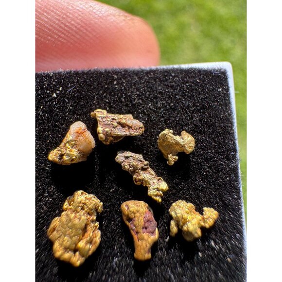 Arizona Gold Nuggets in Display Case - 0.62 grams - Picture 6 of 6